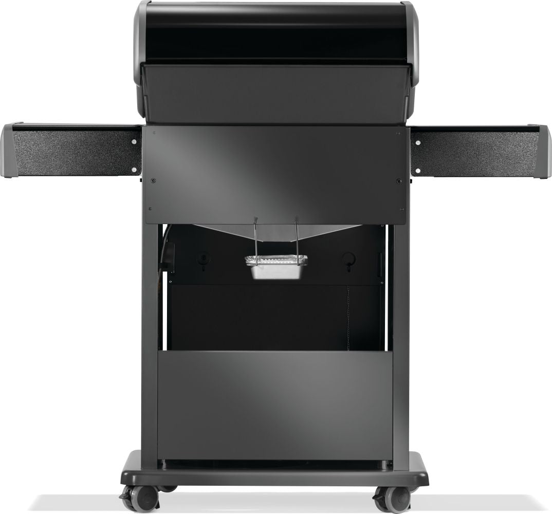 Rogue® 425 Gas Grill back