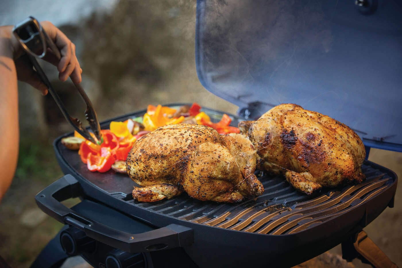 TravelQ™ 285 Portable Gas Grill