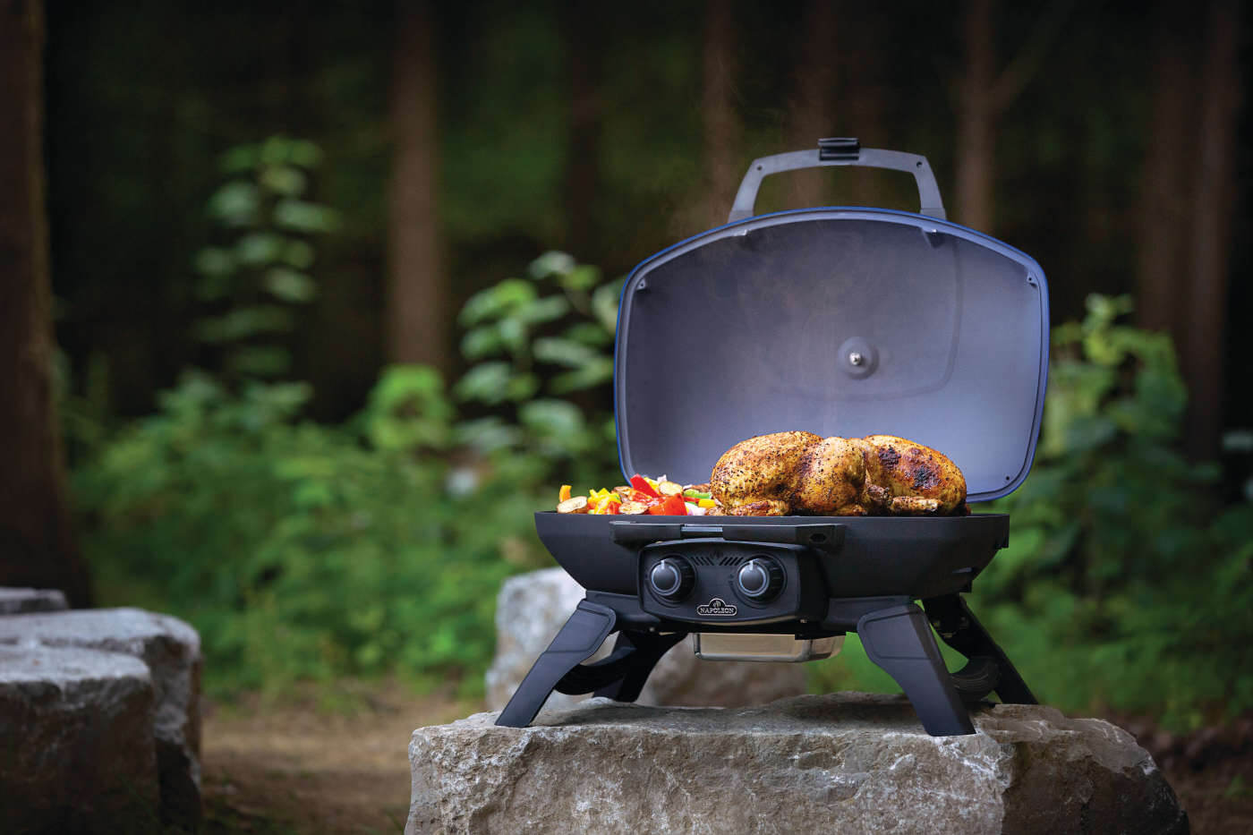 TravelQ™ 285 Portable Gas Grill